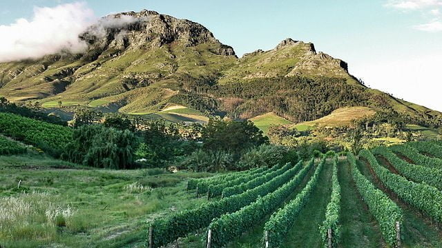 Ballade oenotouristique Stellenbosch