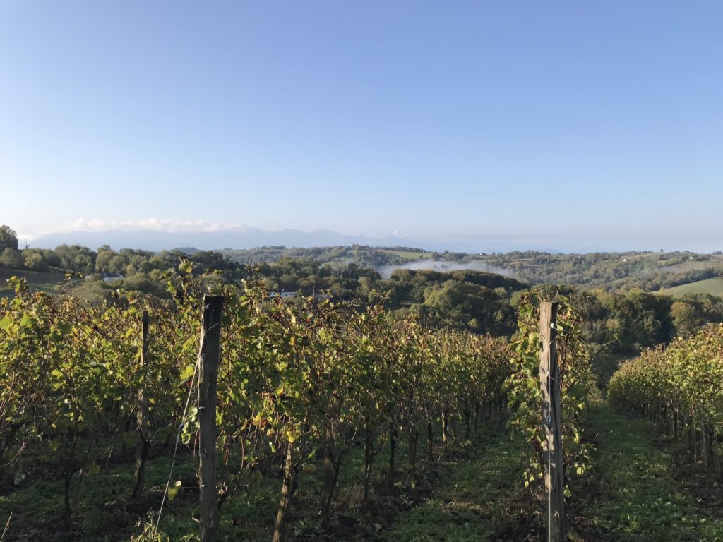 vignobles pyrenees